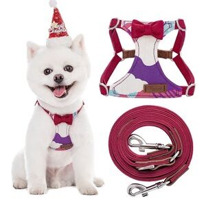 Adorable puppy harness & leash🐶